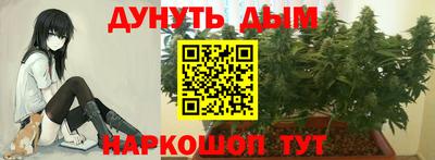 jwh Камышлов