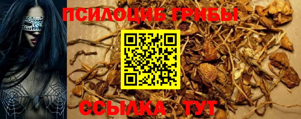 Псилоцибиновые грибы Magic Shrooms Лесозаводск